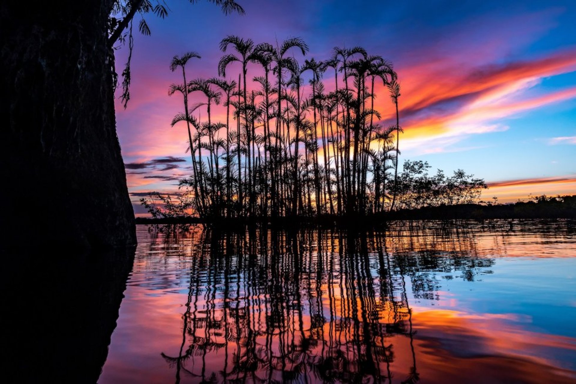  Foto Green Forest Ecolodge 