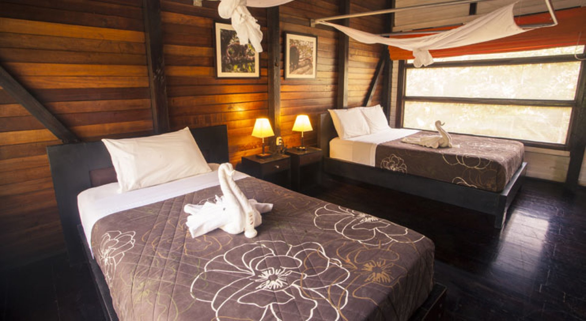  Foto Sani Lodge