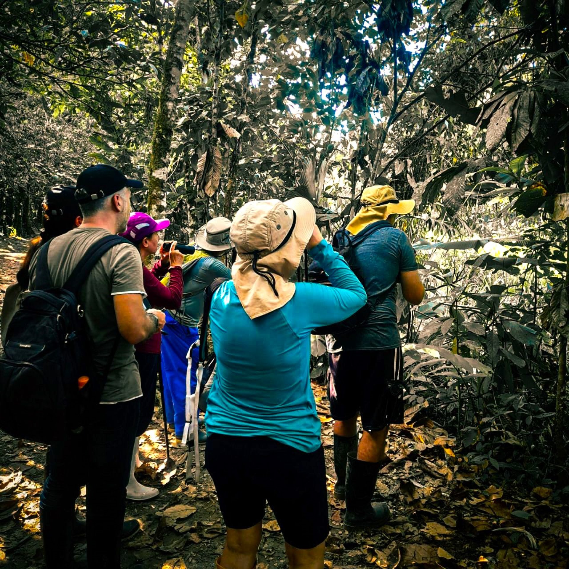  Foto Amazonia Express | Gaia Amazon 