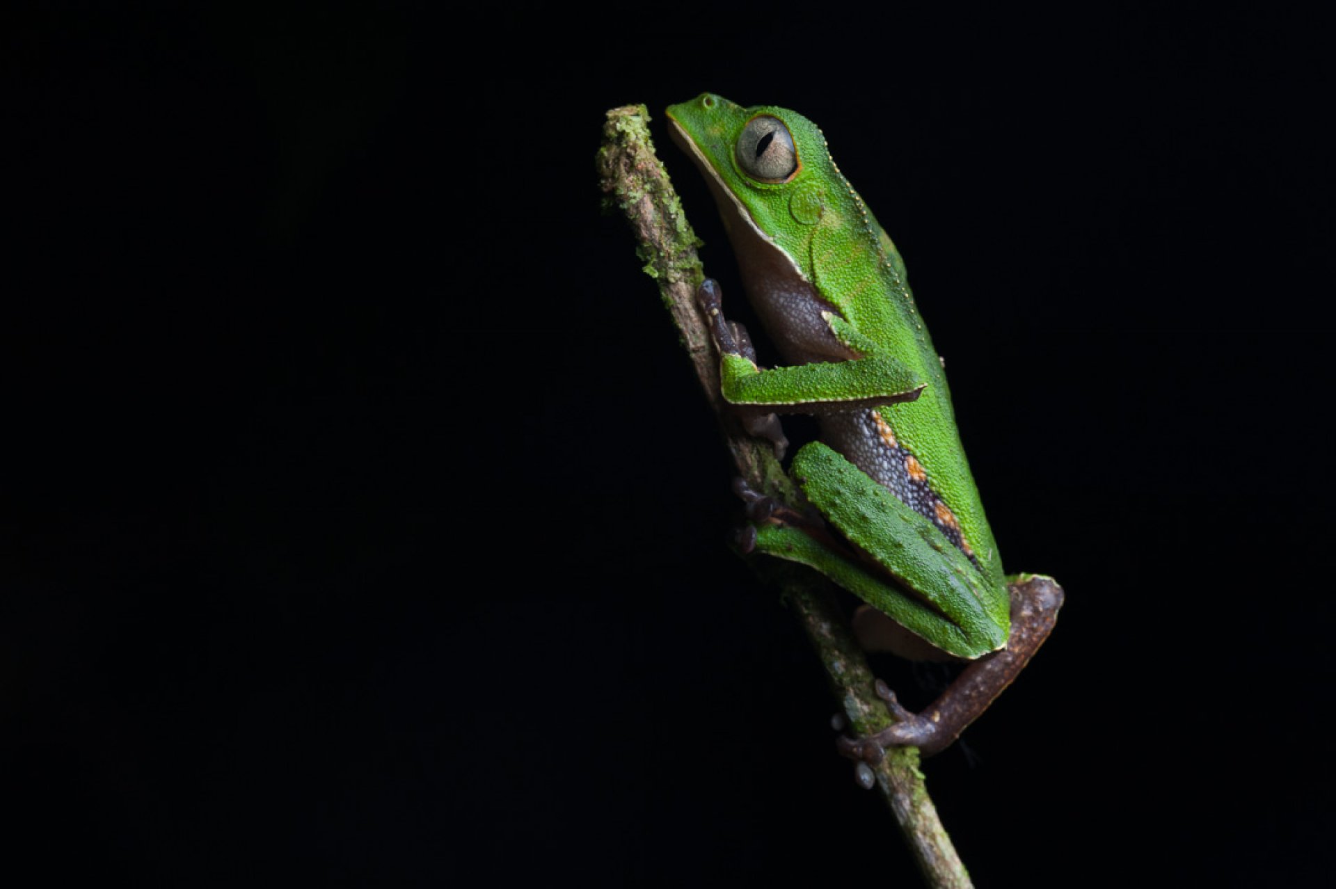  Foto PLAN NÓMADA | SUCHIPAKARI