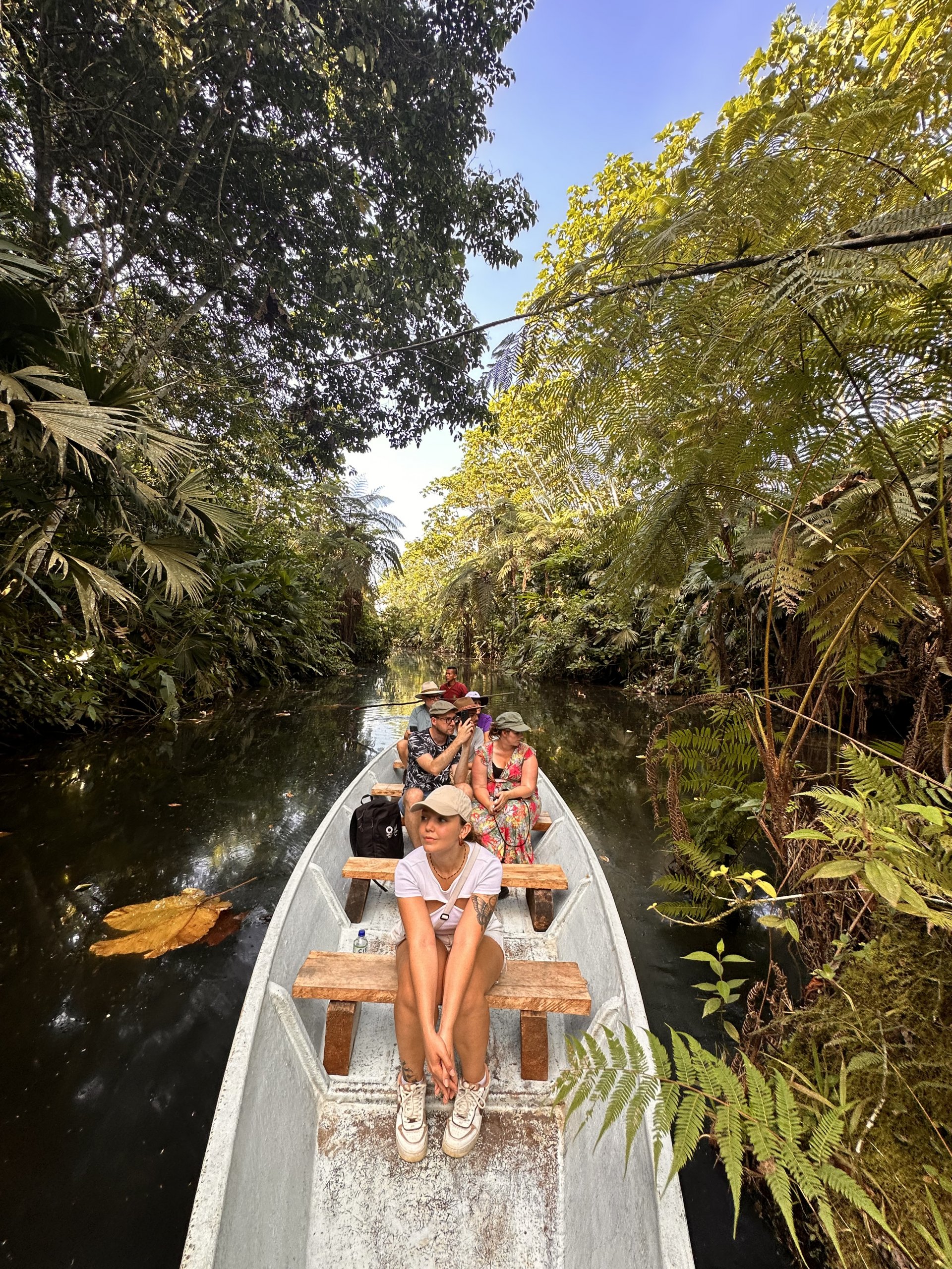  Foto Amazónico Holístico | Gaia Amazon 
